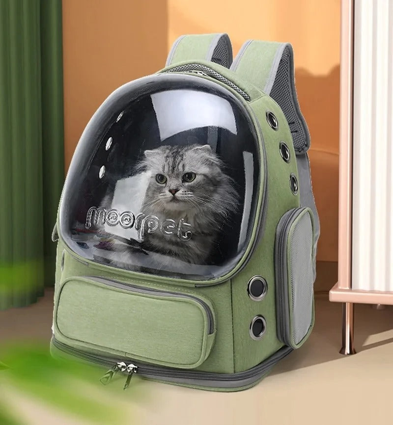 Pet Cat Transparent Carrier Bag Outdoor Travel  for Cats Small Dogs