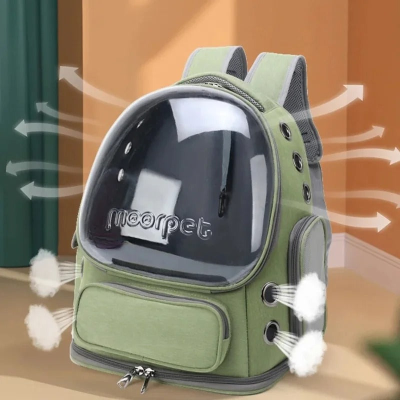 Pet Cat Transparent Carrier Bag Outdoor Travel  for Cats Small Dogs